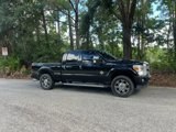 Used 2016 Ford F250 Platinum image 2