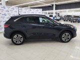 Certified 2022 Ford Escape SEL image 5