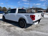 Used 2021 Ford F150 XLT w/ Equipment Group 302A High image 3