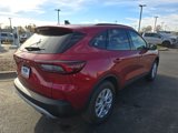 New 2025 Ford Escape Active w/ Cold Weather Package image 5