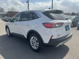 Used 2020 Ford Escape SE image 5