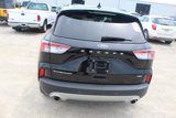 Used 2020 Ford Escape Titanium image 5