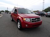 Used 2011 Ford Escape XLT w/ 203A Rapid Spec Order Code image 2