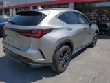 Used 2025 Lexus NX 350 AWD image 3