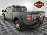 Used 2010 Ford F150 Harley-Davidson image 2