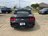 Used 2022 Ford Mustang Premium image 5