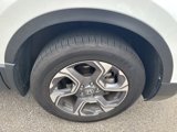 Used 2019 Honda CR-V EX-L image 4