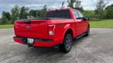 Used 2016 Ford F150 XLT w/ Equipment Group 302A Luxury image 3