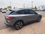 Used 2021 Ford Escape SEL image 6