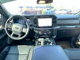 Certified 2024 Ford F150 Raptor image 3