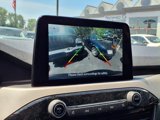 Used 2022 Ford Escape SEL image 4