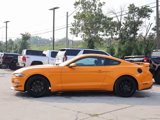 Used 2019 Ford Mustang Coupe w/ Ecoboost Performance Package image 4