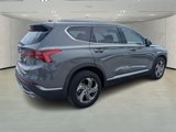 Used 2022 Hyundai Santa Fe SEL w/ Cargo Package image 3