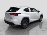 Used 2018 Lexus NX 300 FWD w/ Accessory Package image 5