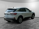 Used 2021 Ford Escape SE image 5