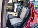 Used 2019 Ford Escape SEL image 5
