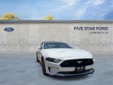 Certified 2023 Ford Mustang Premium image 2