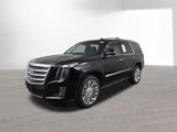Used 2019 Cadillac Escalade Platinum image 2