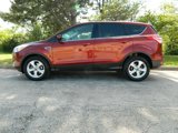 Used 2014 Ford Escape SE image 5