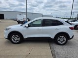 Used 2020 Ford Escape SE image 5