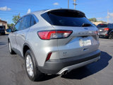 Used 2020 Ford Escape SE image 5