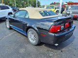 Used 2000 Ford Mustang GT image 6