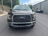 Used 2016 Ford F150 XLT w/ Equipment Group 302A Luxury image 2