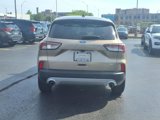 Used 2020 Ford Escape SEL image 5