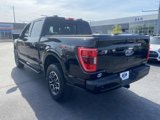 Used 2021 Ford F150 XLT w/ Equipment Group 302A High image 4