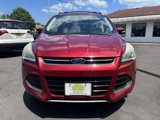 Used 2016 Ford Escape Titanium w/ Equipment Group 301A image 2
