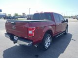 Used 2018 Ford F150 XLT w/ Equipment Group 302A Luxury image 3