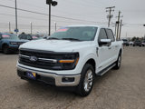 Certified 2024 Ford F150 XLT w/ Equipment Group 302A MID image 2