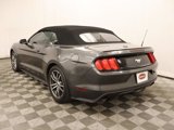 Used 2017 Ford Mustang Premium image 3