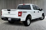 Used 2020 Ford F150 XL w/ XL Power Equipment Group image 2