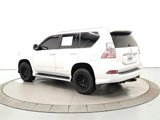 Used 2014 Lexus GX 460 Luxury image 5