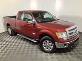 Used 2014 Ford F150 XLT w/ Equipment Group 302A Luxury image 3