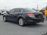 Used 2010 Honda Accord EX-L image 4