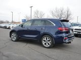 Used 2020 Kia Sorento SX image 3