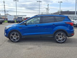 Certified 2019 Ford Escape SEL image 6