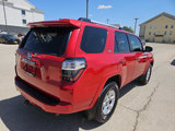 Used 2019 Toyota 4Runner SR5 image 5