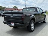 Used 2014 Ford F150 STX w/ Equipment Group 201A Mid image 3