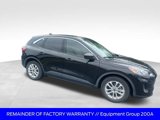 Used 2020 Ford Escape SE image 3
