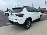 Used 2022 Jeep Compass Trailhawk w/ Trailhawk Elite Group image 6