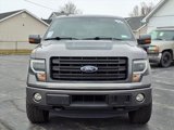 Used 2014 Ford F150 FX4 w/ FX Appearance Package image 2