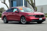 Certified 2024 Honda Accord EX image 2