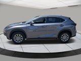 Used 2019 Lexus NX 300h AWD w/ Comfort Package image 2