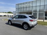 Used 2020 Ford Escape SE image 3