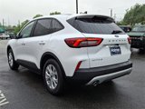 Used 2025 Ford Escape Active image 4