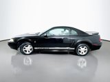 Used 2000 Ford Mustang Coupe image 4