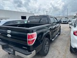 Used 2012 Ford F150 XLT w/ XLT Convenience Pkg image 4